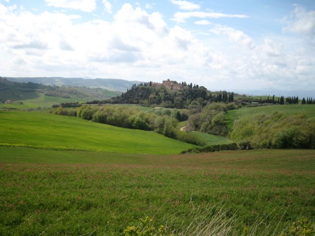 Spring in Tuscany; green fields near the Castle of Porrona, 