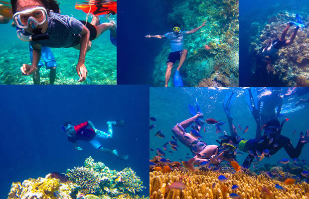 The Best Snorkeling Spots In Bali | Information and Reference about