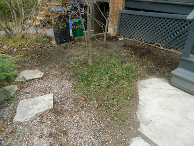Toronto Parkdale front garden spring cleanup after by Paul Jung Gardening Services Toronto Parkdale front garden spring cleanup after by Paul Jung Gardening Services
