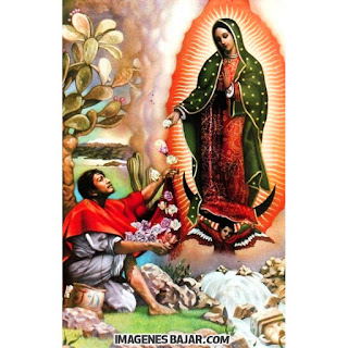 imagenes-virgen-de-guadalupe