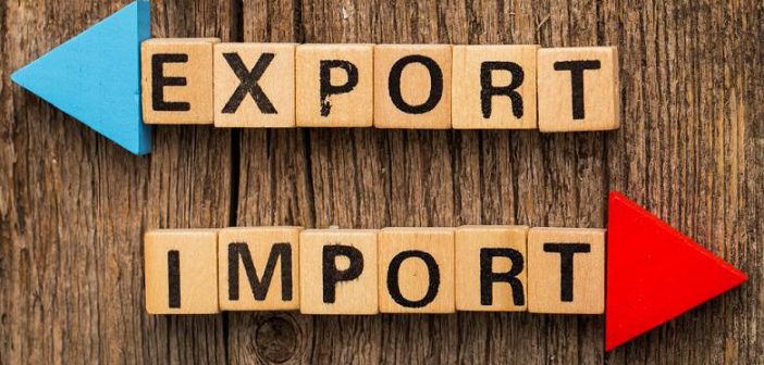 Import Export Rules and Guidelines in India in Hindi