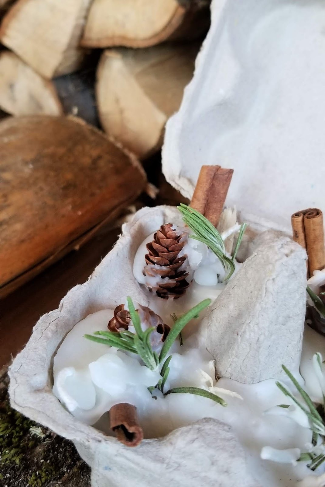 DIY Beeswax Egg Carton Fire Starters Fresh Eggs Daily® with Lisa Steele