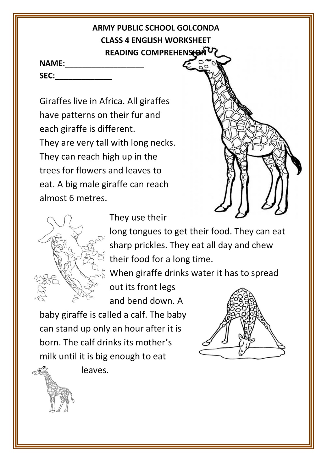 Class 3 homework pdf picture