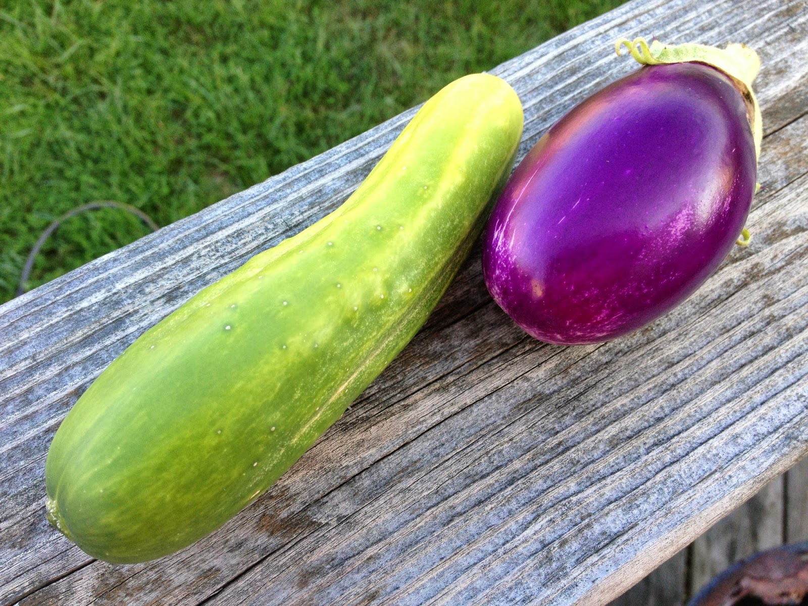 Bonz Blogz Garden Update Week 28 (LATE)