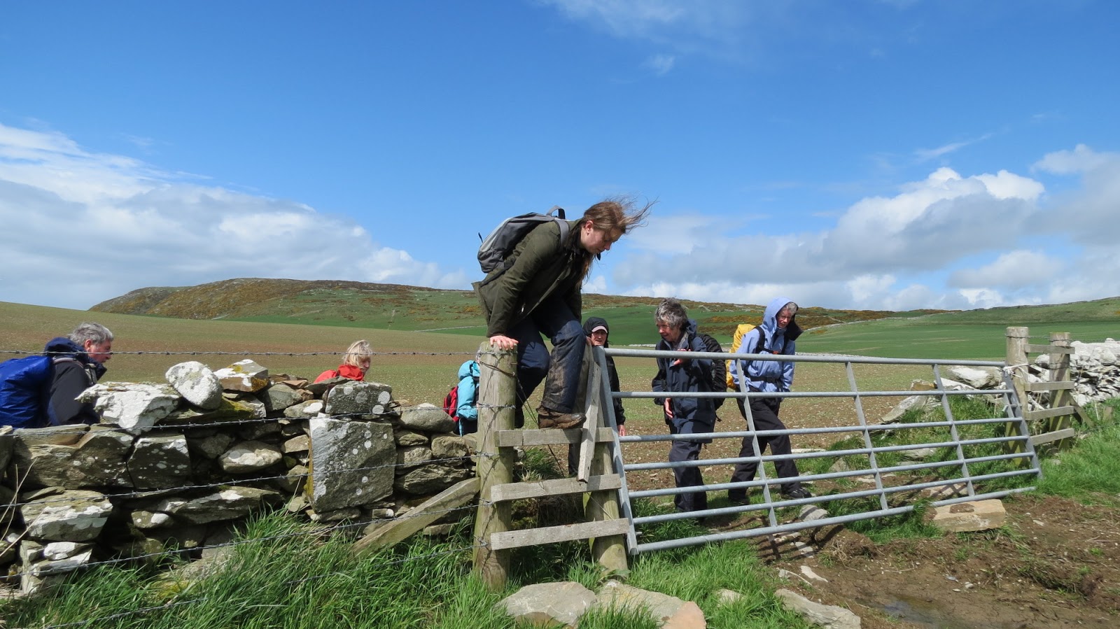 The Glebe Blog Three Walks Newton Stewart Walking Festival 2013