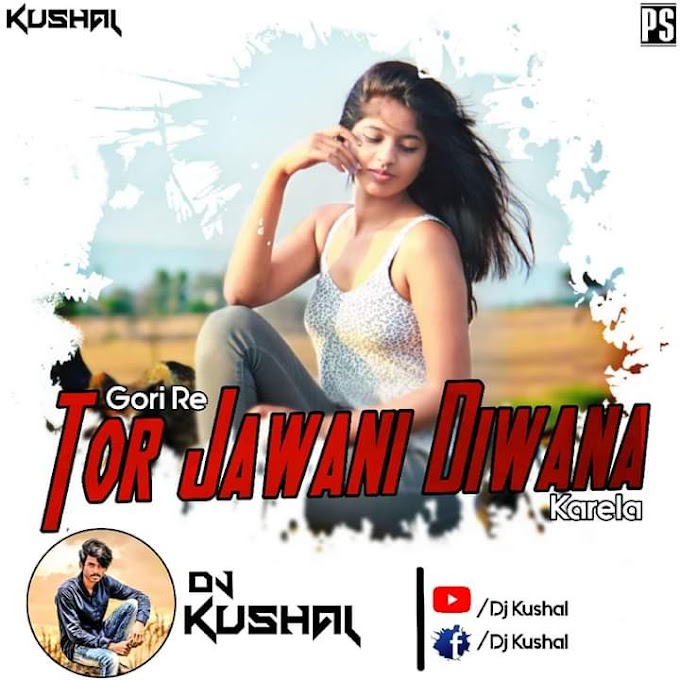 Gori Re Tor Jawani Diwana Karela ( Nagpuri Remix ) :- D J Kushal