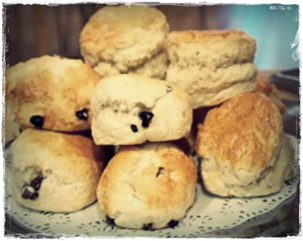 Scones com gotas de chocolate - Reino Unido