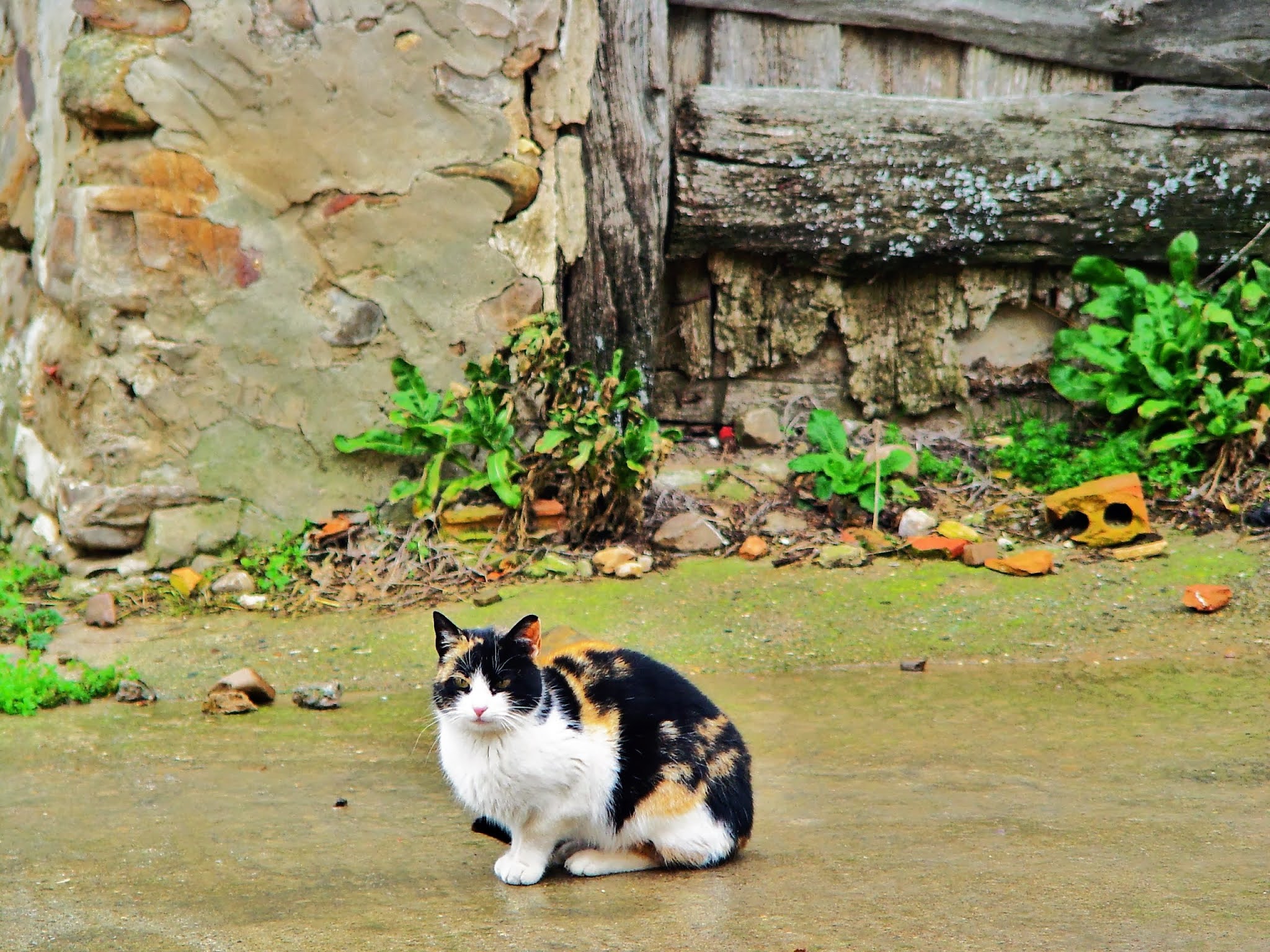 La Rioja de la A a la Z QUINTANA Municipio de Villarata Quintana