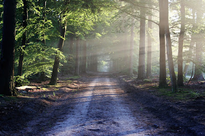 Nature Images Nature Images