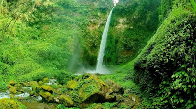 wisata coban pelangi di malang wisata coban pelangi di malang