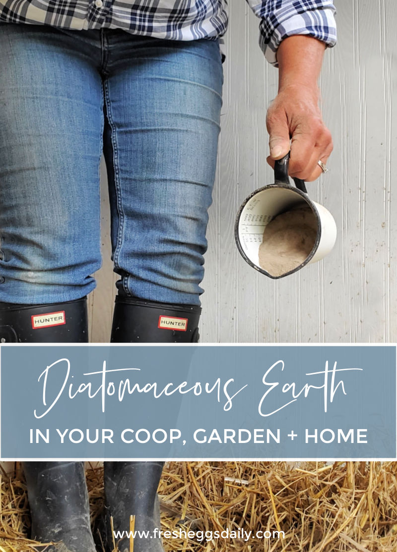 All about Diatomaceous Earth In your Chicken Coop, Garden and Home