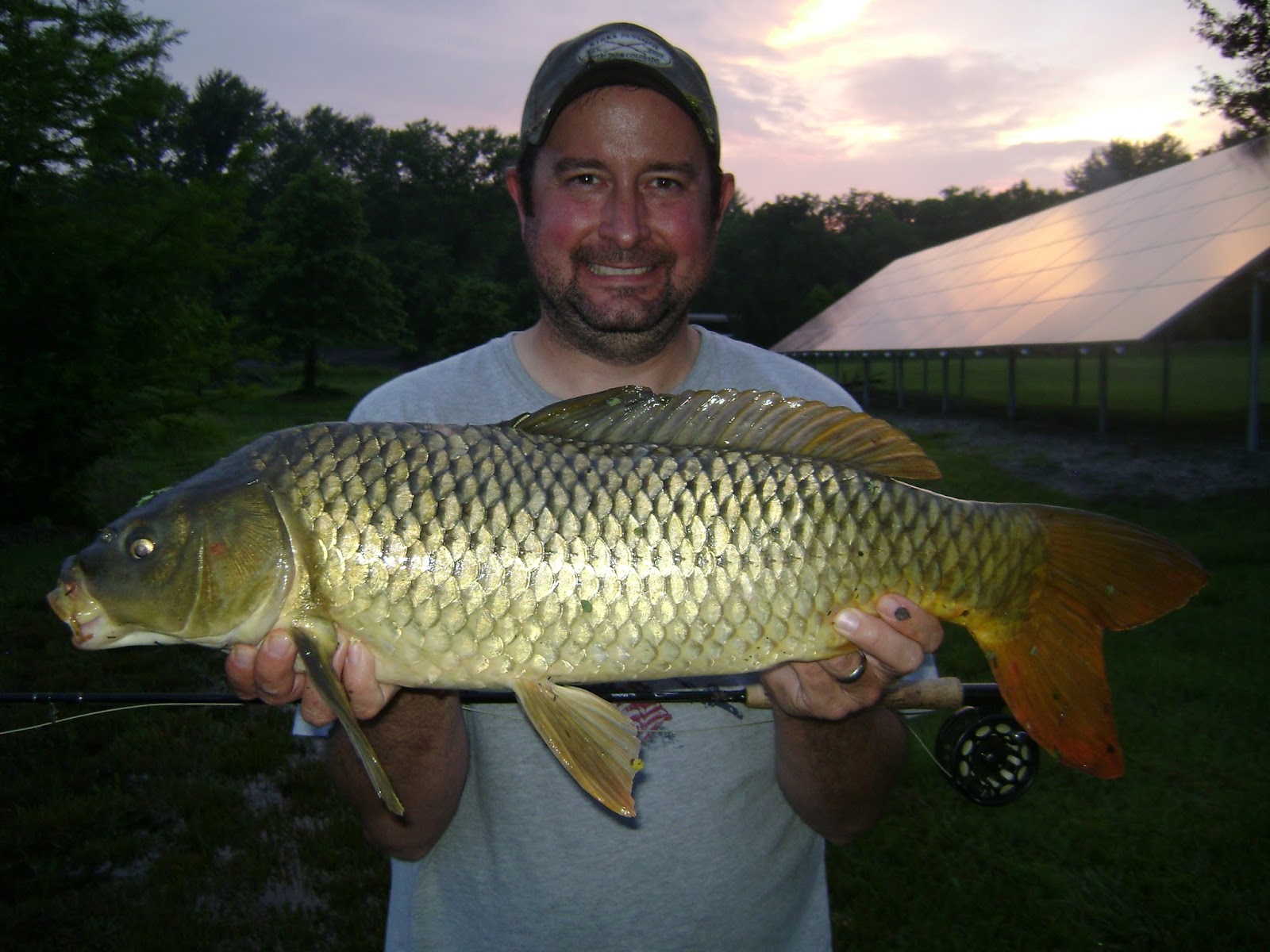 The Show Me Fly Guy Fly Fishing For Carp