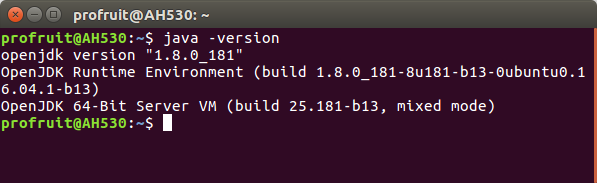 default-jre openjfx