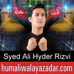 https://www.humaliwalyazadar.com/2018/09/syed-ali-hyder-rizvi-nohay-2019.html