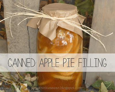 {I Think I Can} Canned Apple Pie Filling