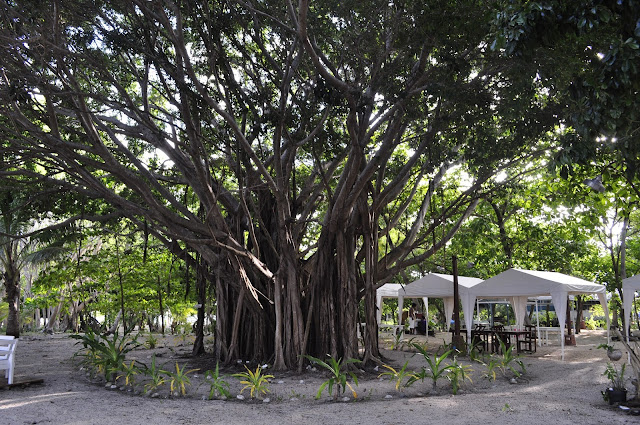 Arena Island : A Gorgeous Island Resort in Palawan, Philippines Arena Island : A Gorgeous Island Resort in Palawan, Philippines