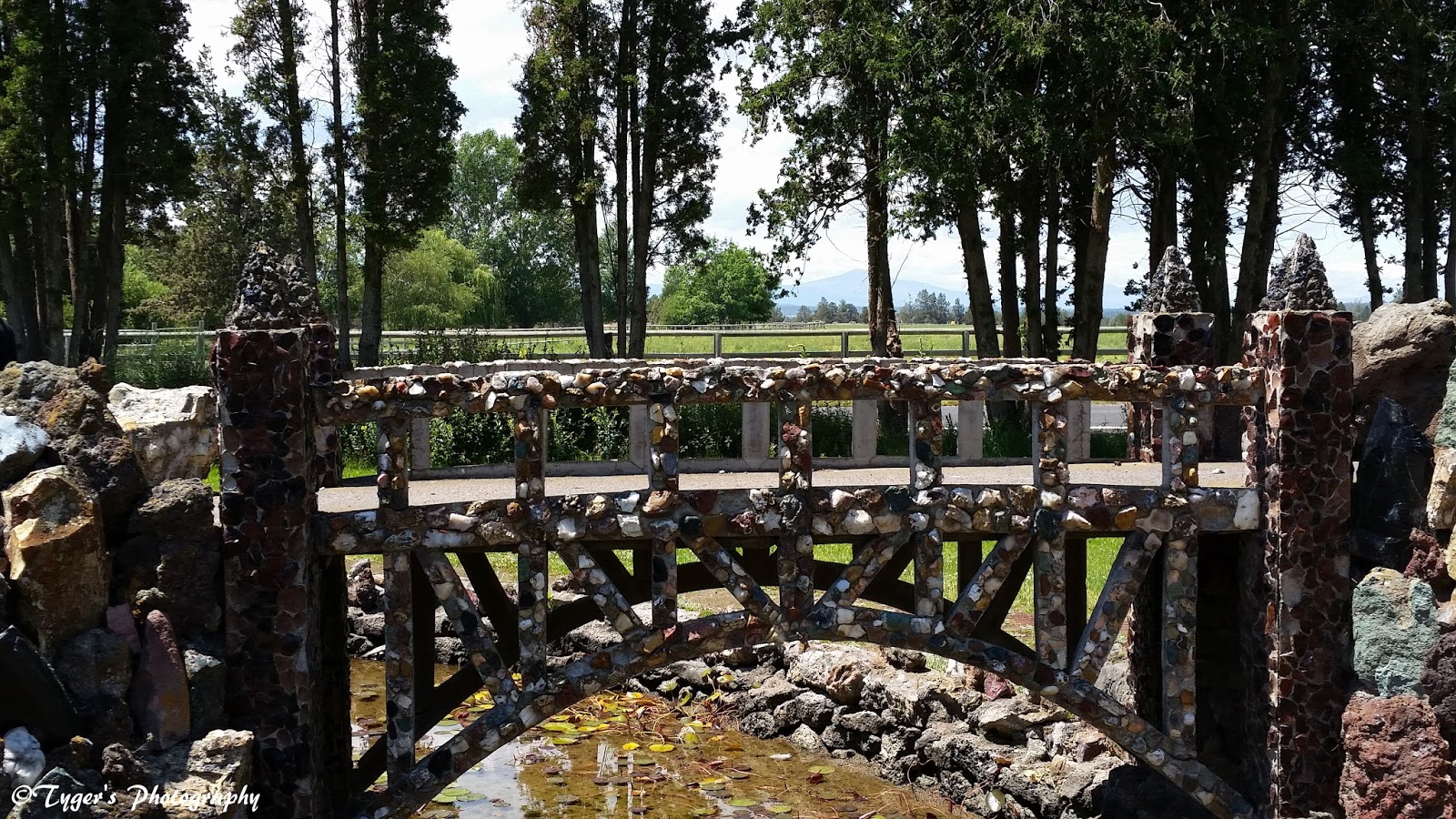 Around the World through a Tyger's Eyes: Peterson's Rock Garden, Bend