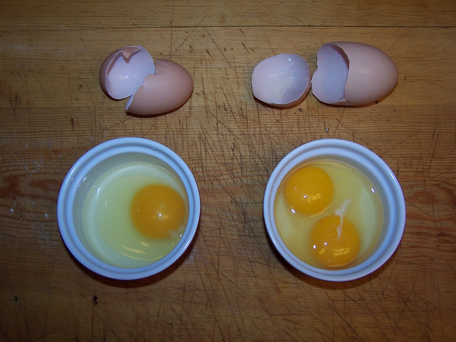 Simple Living Basics Giant Eggs