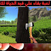 تحميل لعبة البقاء Ocean Is Home: Survival Island للأندرويد تحميل لعبة البقاء Ocean Is Home: Survival Island للأندرويد