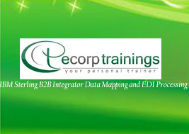 IBM Sterling B2B Integrator Data Mapping and EDI Processing