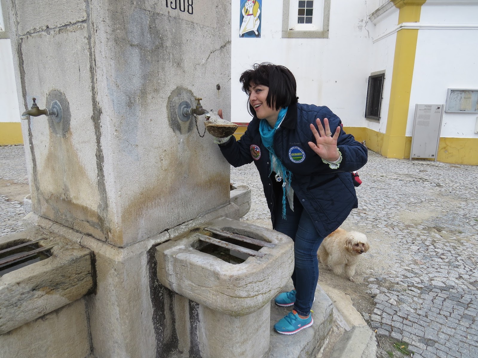 Portal AuToCaRaVaNiStA SANTIAGO DO ESCOURAL MONTEMORONOVO ÉVORA