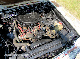 Engine bay packed with a V8 in the 1977 Mustang II Cobra II