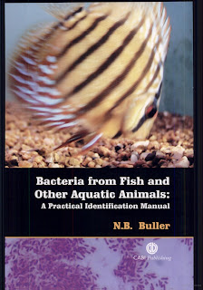 Bacteria from Fish and Other Aquatic Animals: A Practical Identification Manual