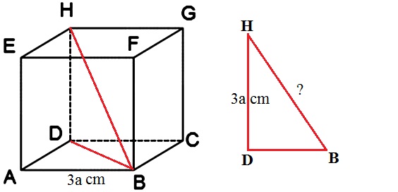 44+ Contoh soal materi dimensi 3 information