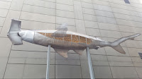 Hammerhead Shark, one of 72 BIG Fish from the 2006 Commonwealth Games