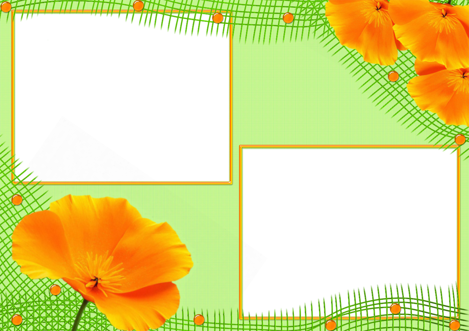 SYED IMRAN nature frames