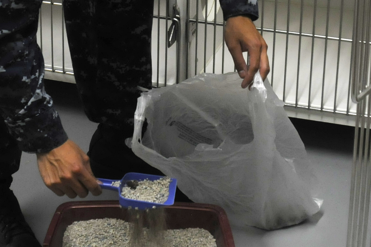 Litter Cleaning For Cats catsgarden