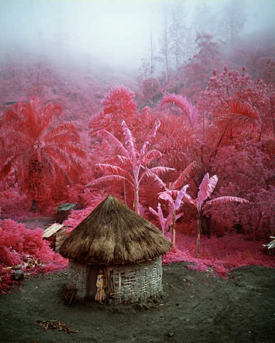 Странная красота. Richard Mosse 7