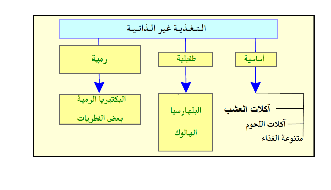 يعد ذاتي أي من التغذية؟ الآتي اي مما