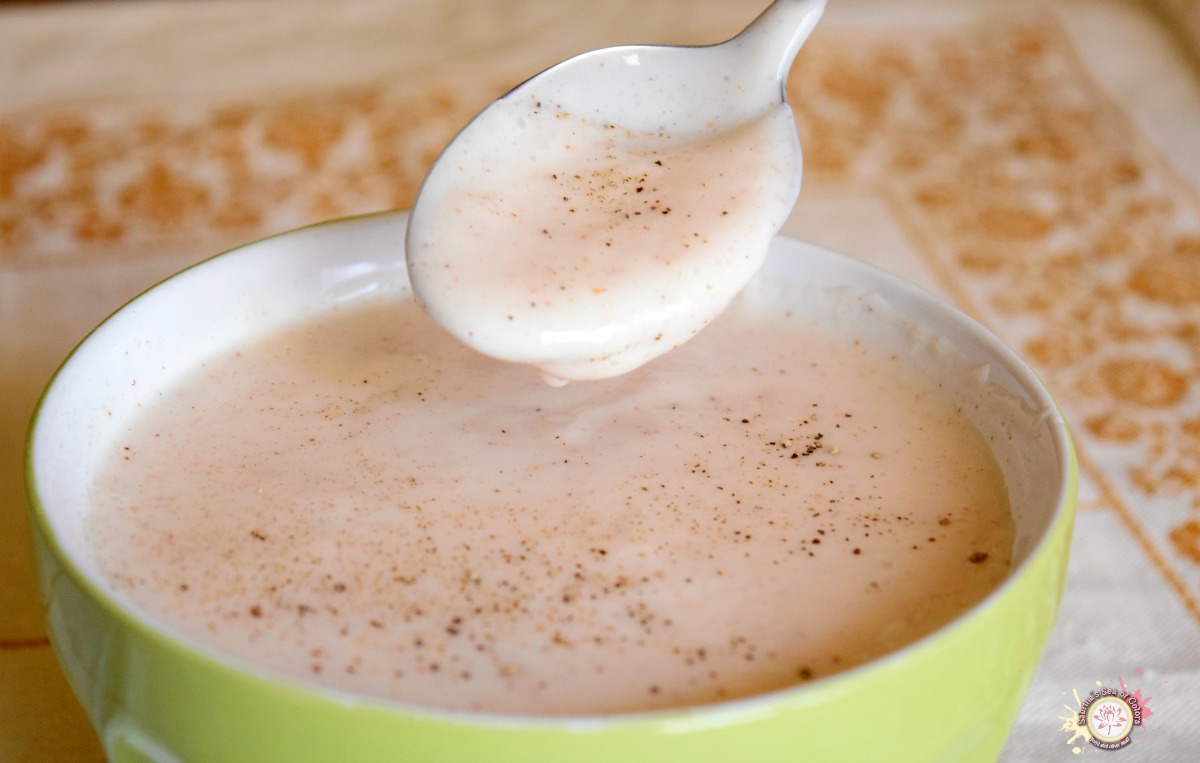 Salsa bechamel ligera Sabrina´s Sea of Colors