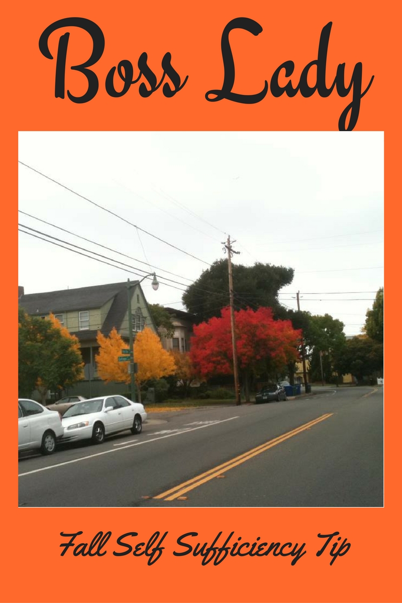 Etsy Boss Ladies : Simple Self Sufficiency Tip