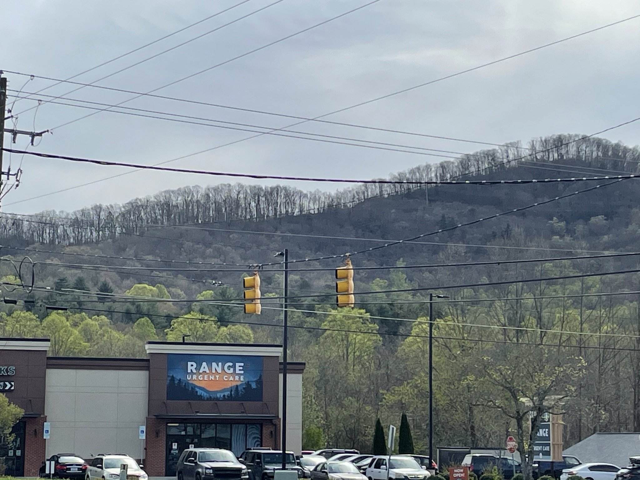 When I was 69 (now 80) The greening of the mountains