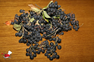 Liker od aronije - Kuvajmo srcem