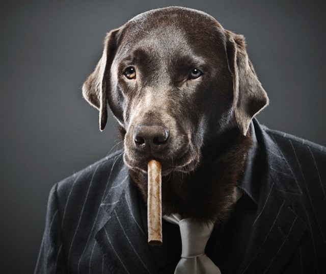 Terrierman's Daily Dose AKC Hires Tobacco Industry Liars for Hire
