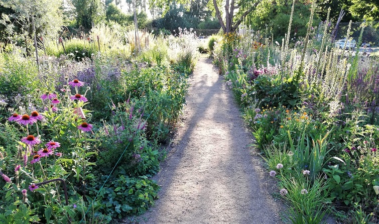 Ländlicher Bauerngarten Pia Hillerichs Garten