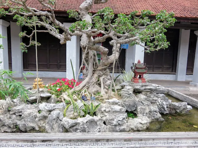 Bonzai tree and diorama at the Temple of Literature in Hanoi, Vietnam