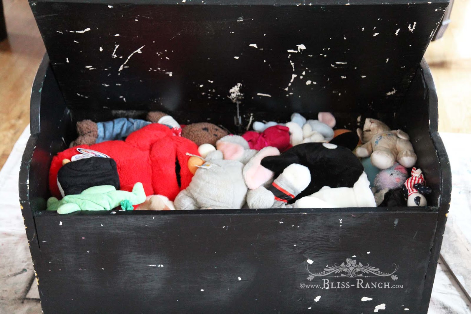 Bliss Ranch State Of The Union Address