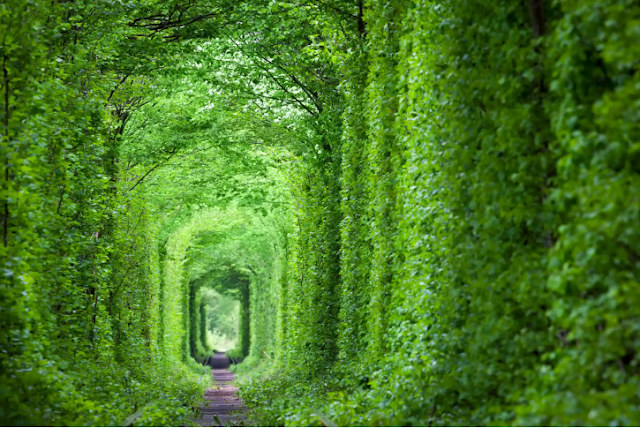 Tunnel of love, Ukraine, heaven on earth places.