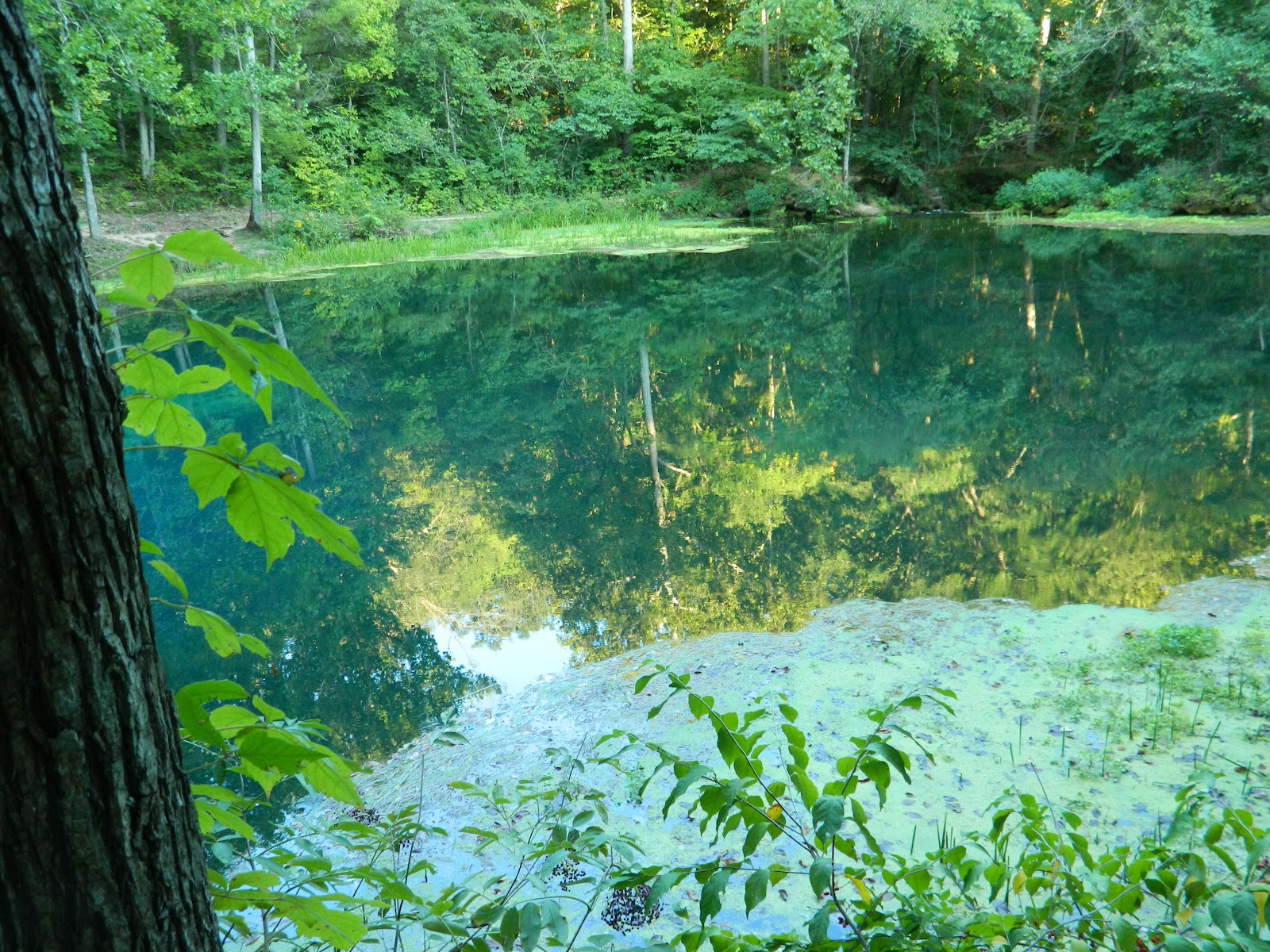 Climbin' Up The Mountain Is one of these Missouri Springs the Waters