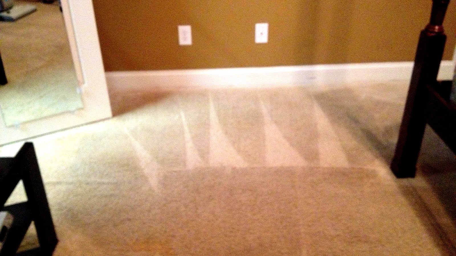 Citrus Solutions Carpet Cleaning Clean Choices