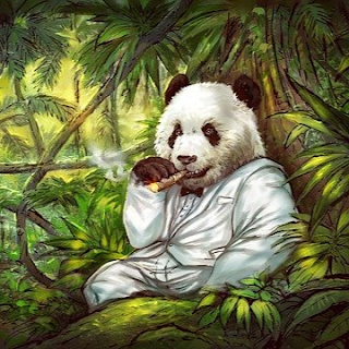 cool bears with cigar pfp
