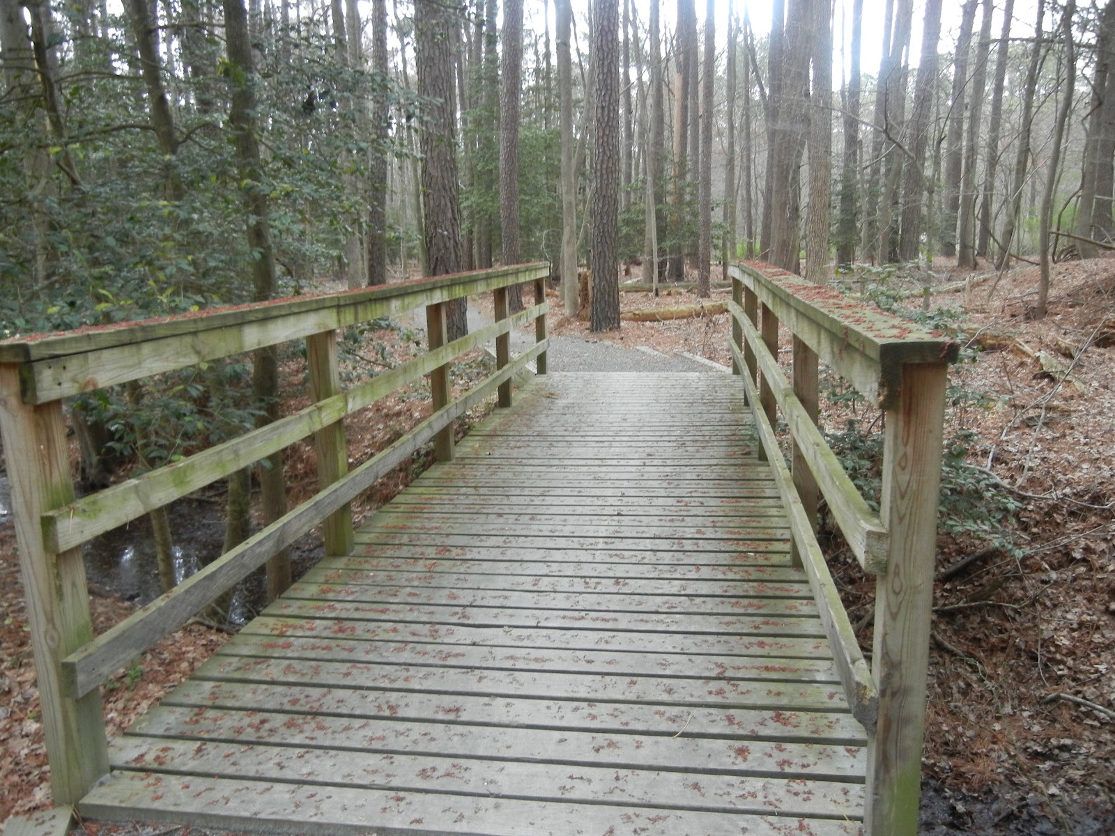 You Say Nerd Like It's A Bad Thing Camping at Trap Pond State Park aka