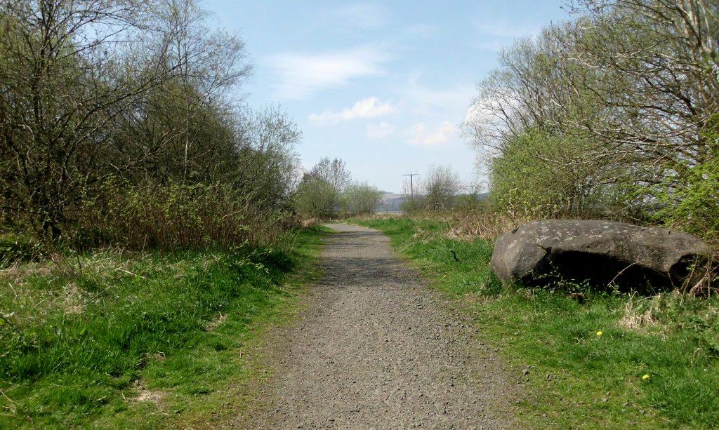My Daily Walk Quarry Road, Cambusbarron