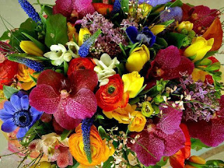 essay on national flower of pakistan essay on national flower of pakistan