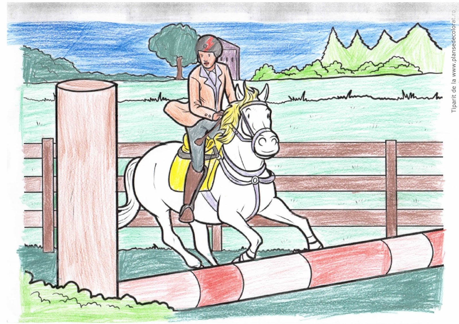 wake upshake up Drawing Contest My favorite sport