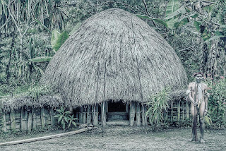 Honai, Rumah Adat Papua